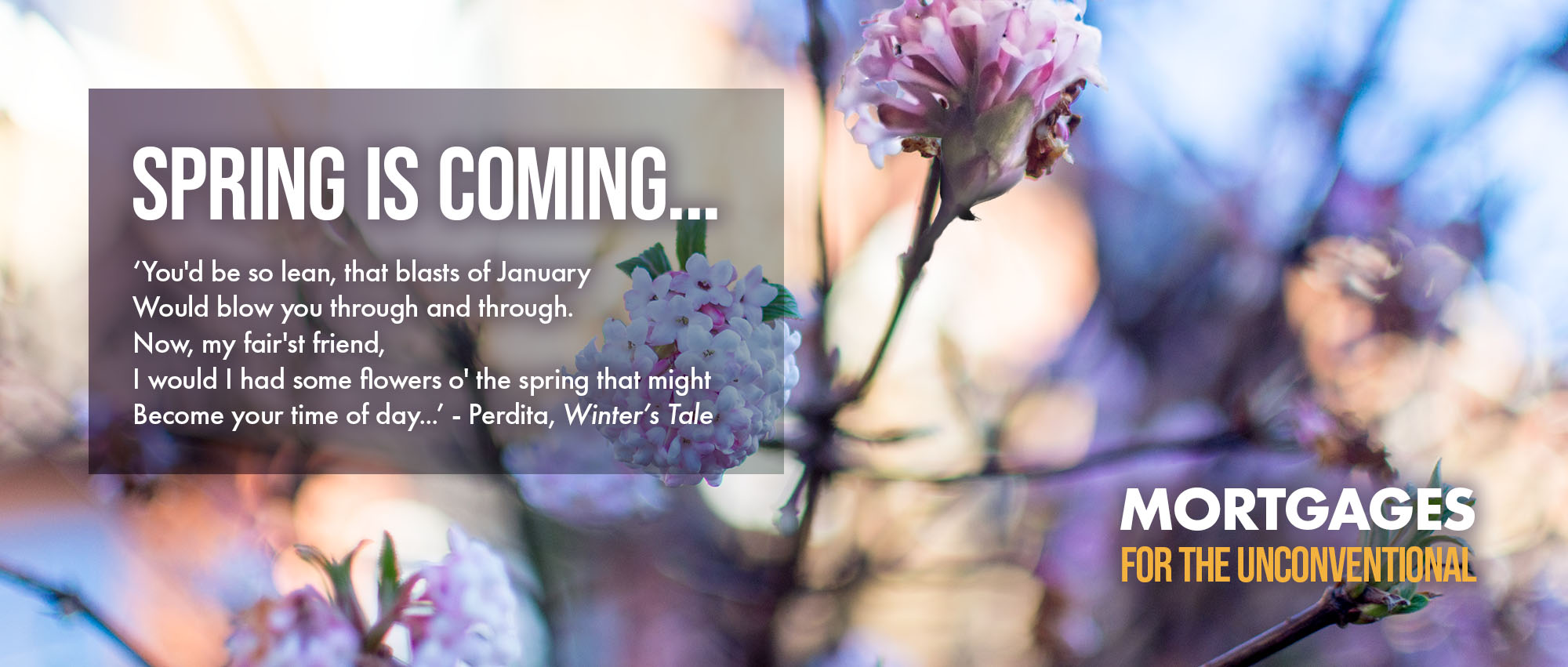 Spring_is_coming_jan_2024_website Spring is coming...